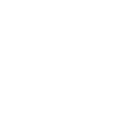 PPQM Logo Willow Chiropractic