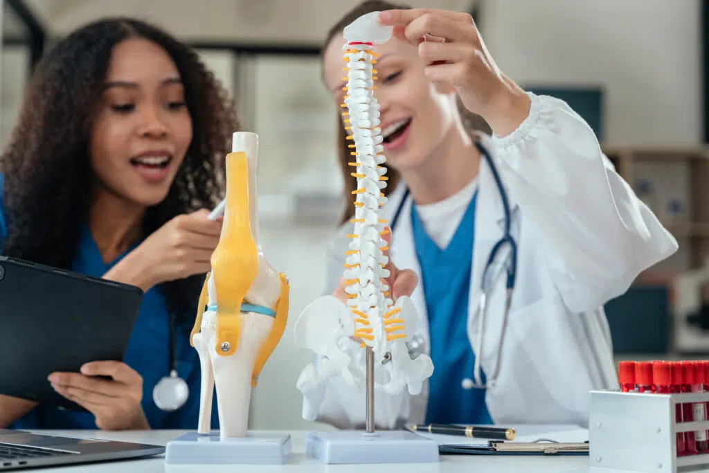 Understanding the Difference Between Chiropractors and Physiotherapists