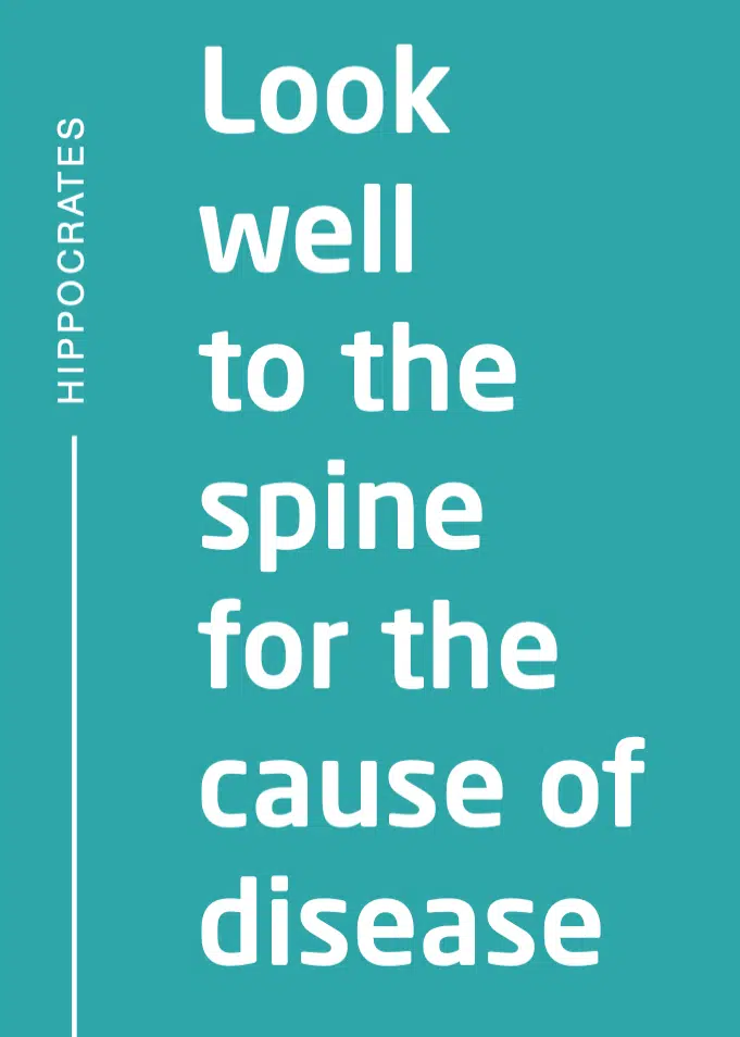 willow chiropractic - chiropractic poster